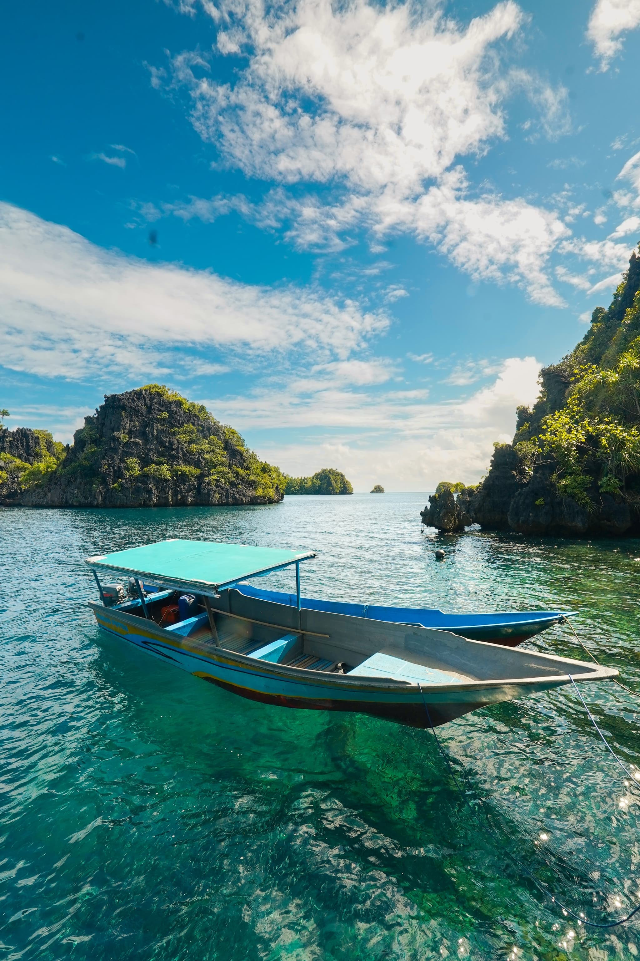 Penguins in Antarctica